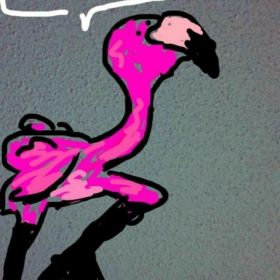 flamingo28