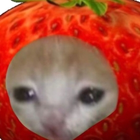 mattthefatbat