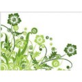 wildrose