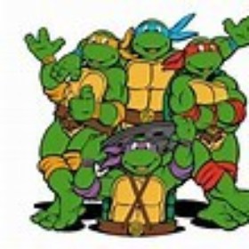ninjaturtle30