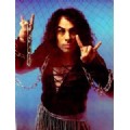 rocknpirates