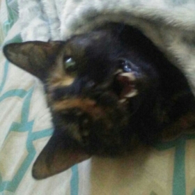 LucieI