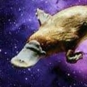 GalacticPlatypus