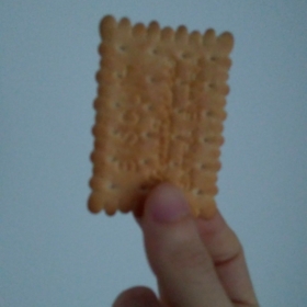 I-have-a-biscuit