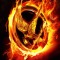 Mockingjay88