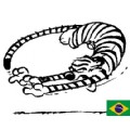 HaroldO