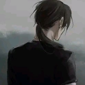 Mister_H