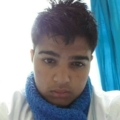 Pvndaxbear