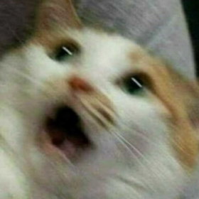 yuuichiXuwu