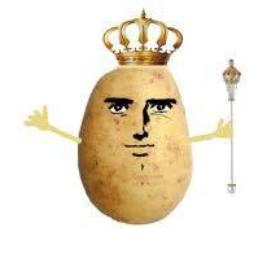 Holly_PotatoPS
