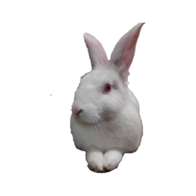 SamanthaSamantha99