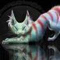 CheshireCat89