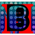 Bray529