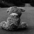 Suicidal_Teddy_Bear