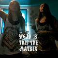 street_name_tasha