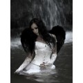 FallenShadowLadyXx