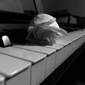 thepianodoctor