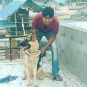 thegr8lion