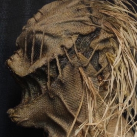 PulseOfMaggots