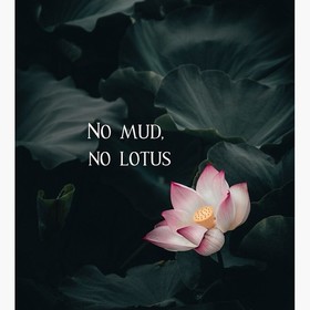 Lotusinmud