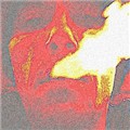 insanerzinsanity
