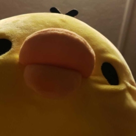 nicoleg