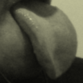 IHaveAHugeTongue