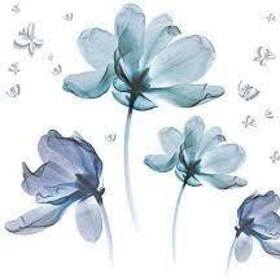 Vinax