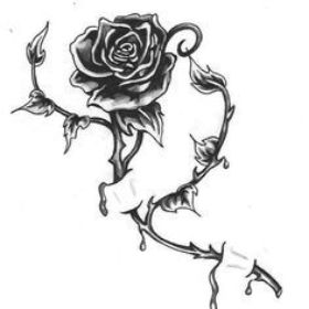 RoseCuteButHasThorns