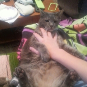 McMuffen