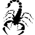 Skorpion_King