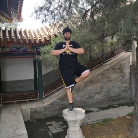 pandaheartz
