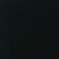 thegr8_white