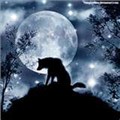 ShadowGaze72