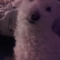 Boorene