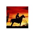 WildWest90