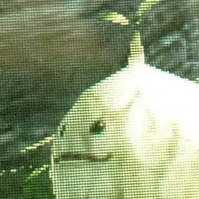 himom