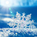 Midnight_Snowfall