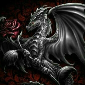 Shadow08642