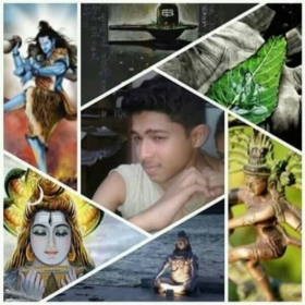 priyanshushukla8800