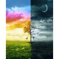 break_free