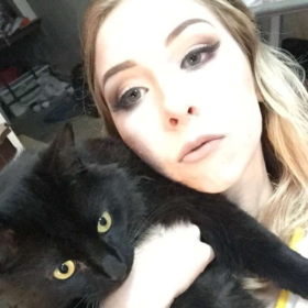 LocalCatDealer