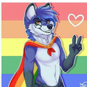wolfiethefurry