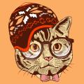 swegcat007