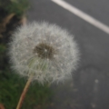 aesthetickiddo
