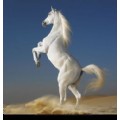 whitehorse