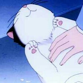 lilneko