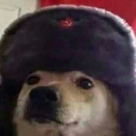 ComradeDoge