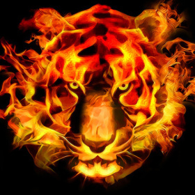 TheFireTiger