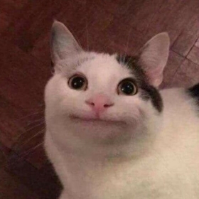 yeetgorl9000